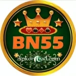 Bn55 game logo