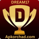Dream17 game logo